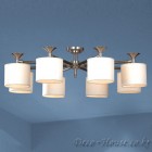 ��ǰ�̹���